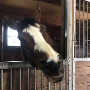 Meet your Posher, Davita